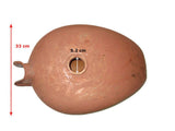 Paint Delux Petrol Tank  Fits Royal Enfield available at Online at VintageTank24x7