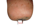 Bare Metal Petrol Tank+Knee Pad Fittings Fits Royal Enfield available at Online at VintageTank24x7